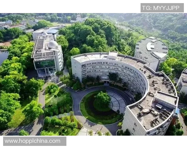 重庆篮球队状态飙升创新高引发全城热议与期待